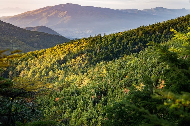 Mountain-Top Retreat
